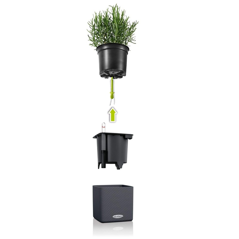 Lechuza Cube Colour 14 13384 Herb Pot, High-Quality Plastic, Includes