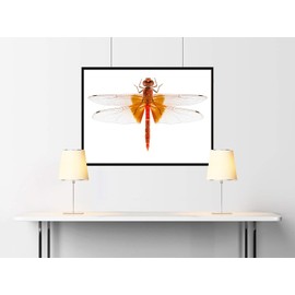 Auhagen 52414 Single Roof Slate