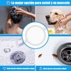 eahsap 25 Unidades de atrapa Cabello desechable para desagüe de