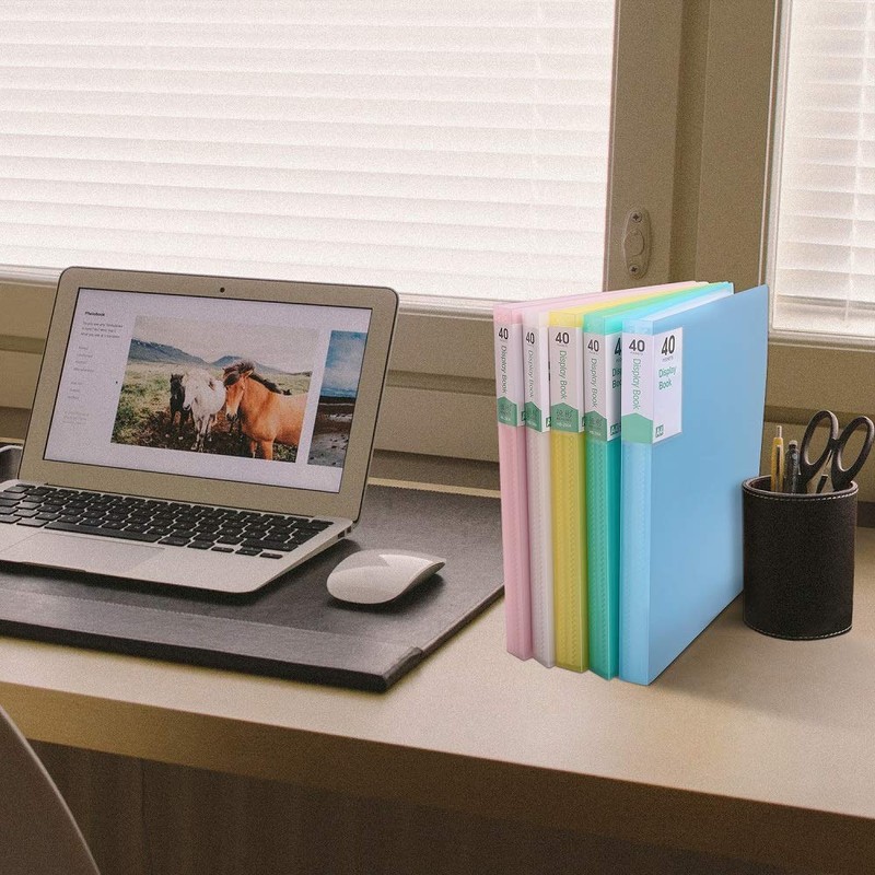 Phyxin 40 Pockets Plastic Presentation Book Portfolio Folder File Folder