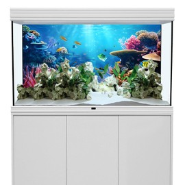 YongFoto Fish Tank Background 72x24 inch Aquarium Background Coral Seaweed Reef Rock Tropical Fish Underwater Sea World Backdrop Reptile Terrarium Background Bearded Dragon Habitat Background