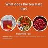 Premium GT Herbs & Fruits Rosehips 20 Tea bags