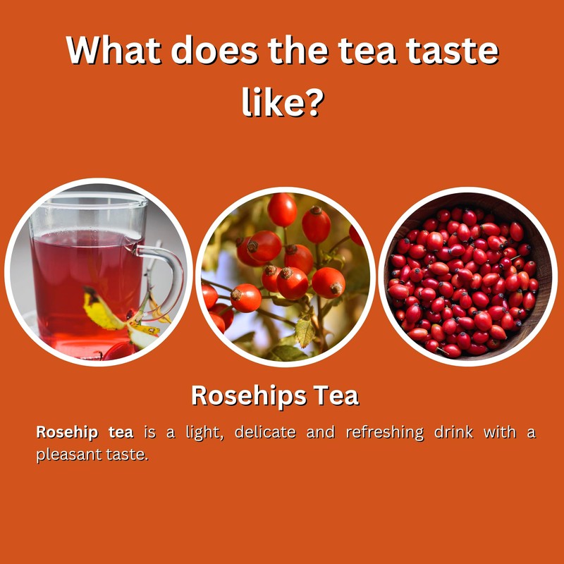Premium GT Herbs & Fruits Rosehips 20 Tea bags