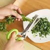 Innov2u 5-Layered Forged Stainless Steel Kitchen Scissors, Ultra-Sharp Herb Shredder,