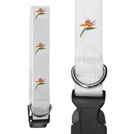 Small 'Bird Of Paradise Tropical Flower' Dog Collar (PR00059723)