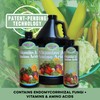Microbe Life Hydroponics Premium Vitamins & Amino Acids Essential for