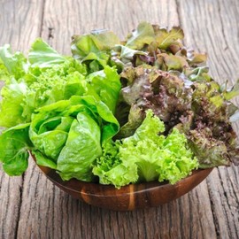 Seeds4planting - Seeds Indoor Lettuce Balcony Mix for Salad Non GMO Heirloom for Planting