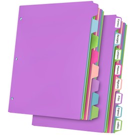 HABGP 16Pcs/2 Set Binder Dividers with Tabs, 8 Color Tab for 3 Ring Binder Dividers, Page Folder Dividers for 3 Ring Binder Sheet Paper Protectors, Plastic Tabbed File Dividers with Tabs