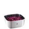 GEFU Provido Food Storage Container, 900 ml, Square, Cold and