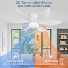 RIENAZA 42" Ceiling Fans with Lights-Low Profile Ceiling Fan with