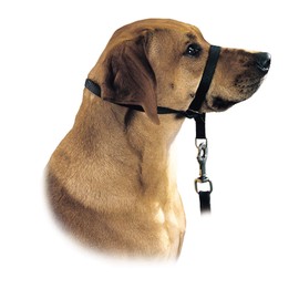 HUNTER Follow Me Education Nylon Harness, Size 4, X-Large, Black