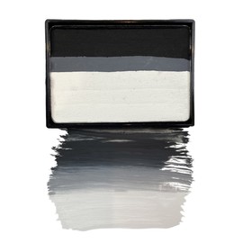 Mehron Paradise AQ Prisma face body paint makeup AQUA blendset MEHRON,Black,W