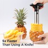 Deiss PRO Pineapple Corer — 2 in 1 Stainless Steel