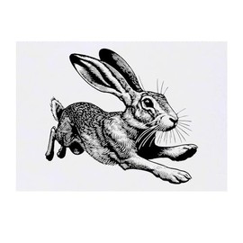 Azeeda 'Zeichnung eines Hasen' Temporäres Tattoo - Hautfreundlicher & Ungiftiger Abziehbild · Wasserfest (TO00070323)