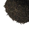 200g Series Organic Darjeeling