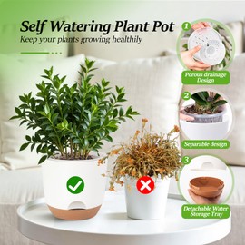 Sxueg 7.2 Inch Self Watering Planters for Indoor Plants with Bottom Watering,2Pack Flower Plant Pots for Outdoor with Drainage, Durable Plastic planters Pots(White)