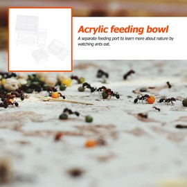 Balacoo 2 Pcs Ant Water Feeder Tools: Clear Mini Liquid Feeder for Insect, Reptile - Insect Drinking Bowls - Acrylic Ant Farm Waterer