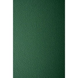 Netuno 10 x Coloured Cardboard, Fir Green, Textured on One Side, DIN A4, 210 x 297 mm, 220 g, Prism Pino Textured Card for Christmas Invitations, Business Cards, Diplomas for Drawing, Crafts,