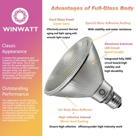 WinWatt LED Light Bulbs PAR38 Full Glass, 27W=300W Equivalent 4000 Lumens Super Bright 20000 Hours Classic Flood Light Bulbs, Waterproof Non-Dimmable 5000K Daylight, 2-Pack