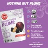 Made In Nature Organic Dried Plums, 13 Ounce (Pack of