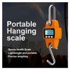 Digital Hanging Scale - Electronic Crane with LCD Display Industrial