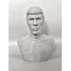Star Trek The Original Series Spock 3D printed Bust 6.75Inches