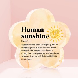 Appreciation Gifts for Women, Appreciation Gifts for Teacher Friends Coworker Doctor Nurse Inspirational Quotes Gift for Mom Aunt Sister Daughter Human Sunshine Home Office Desk Decor Signs Plaques