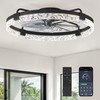 ZMISHIBO Ceiling Fans with Lights and Remote, 24 Inch Flush