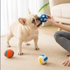 Dog Squeaky Toys, Dog Ball Chew Toys for Aggressive Chewers,