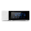TSP30 Night Light Digital Clock Alarm with FM Radio Temperature