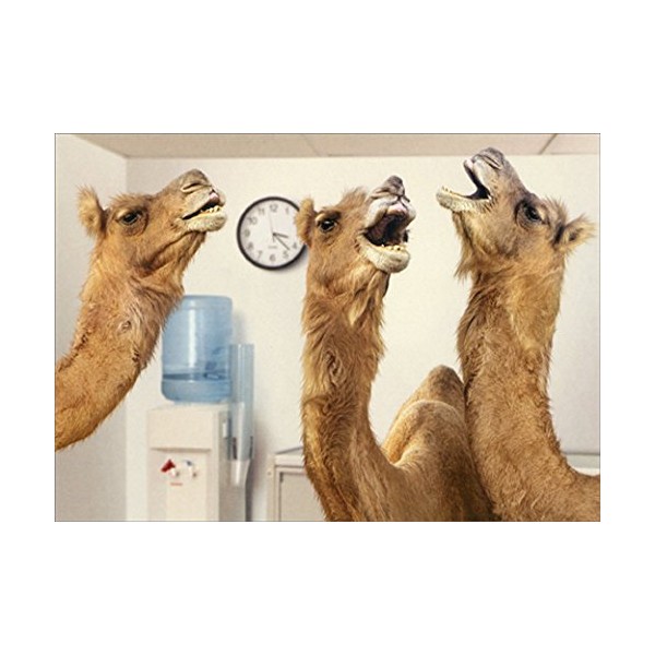 Camels at Office Water Cooler Avanti Humorous/Funny Retirement Card
