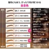 Maybelline BR-1 Fashion Brow Powder In Pencil N Eyebrow Natural