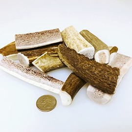 Mountain Dog Chews Pound Puppy Pack- Elk, Deer and Moose Sampler