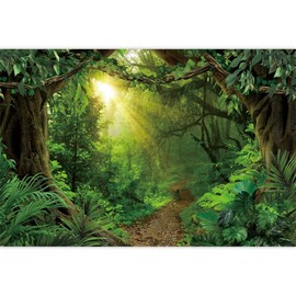 Canessioa Jungle Forest Photography Backdrop Tropical Rainforest Natural Scenery Backdrop Sunlight Forest Banner Camping Themed Baby Shower Party Wedding Decor Photo Booth Prop 10x8ft (300x240cm)