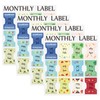 CIEMODA 4 Sheets Colorful Monthly Adhesive Tabs, 48 Pcs Monthly