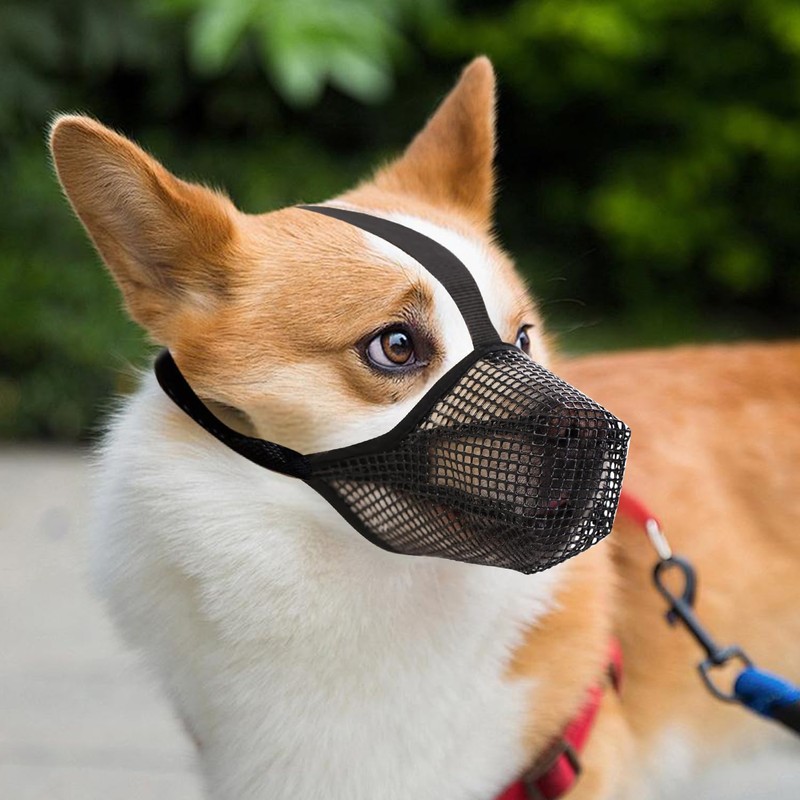 CUEMOON Muzzle for Dogs, Breathable Mesh Muzzle Anti-Bite Anti-Chew for