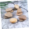 TEHAUX 10 Pack Hand Painted Stones Set with Bracket Kids