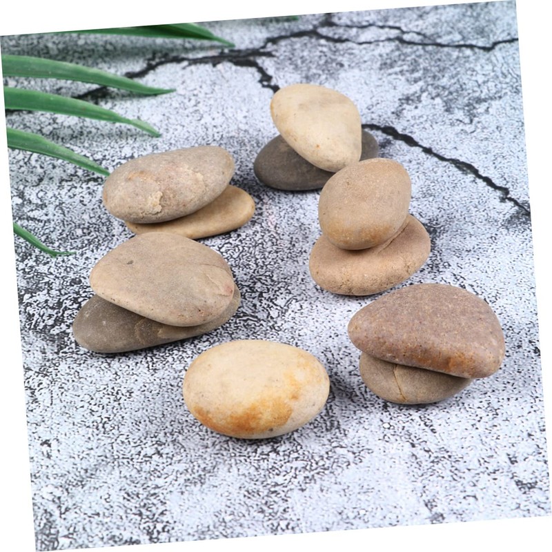 TEHAUX 10 Pack Hand Painted Stones Set with Bracket Kids