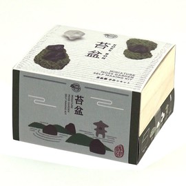 SEISHIN TOUGEI Moss Garden Kit