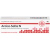 DHU Arnica Ointment N 25g Ointment