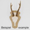 1 x REH Trophy Sign Blunt Large Light Oak with