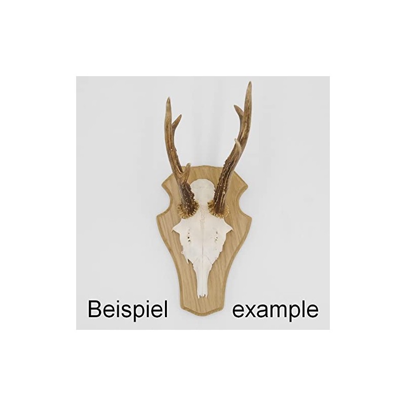 1 x REH Trophy Sign Blunt Large Light Oak with