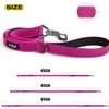 Fida 5 FT Heavy Duty Dog Leash with 2 Comfortable
