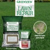 Greenview Fairway Formula Seeding Success (18 lb.) Fertilizer