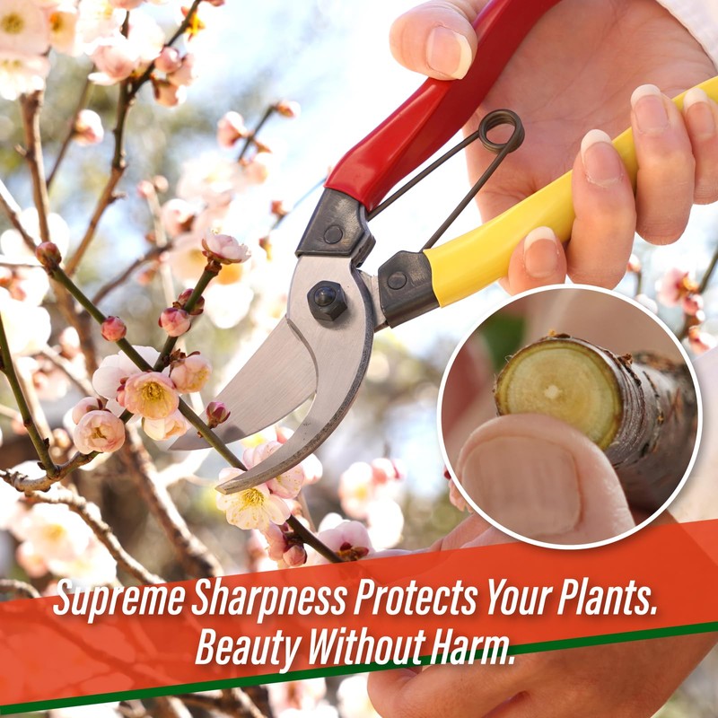 SUIZAN Bypass Pruning Shears 8” - Professional Japanese Hand Pruners