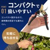 FORESIA Pruning Scissors, Titanium Plated, Compact Pruning Scissors