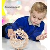 Puzzled Lucky Dragon and Phoenix Wooden 3D Puzzle - Wooden