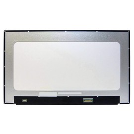 TECHNOLOGYVS 15.6" LAPTOP SCREEN PANEL COMPATIBLE FOR HP ELITEBOOK 650 G10 ELITEBOOK 655 G10 LED LCD DISPLAY MONITOR WXGA 30 PINS 1366x768 NO BRACKETS