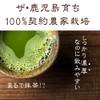 Orgaia Orgaia Mulberry Leaf Soup, Made in Kagoshima Prefecture, Improved,