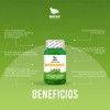 Aceite De Orégano 100 Cápsulas, Calidad Premium